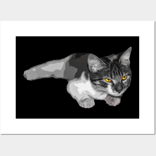 Cat with strange eyes Wall Art by rickylabellevie